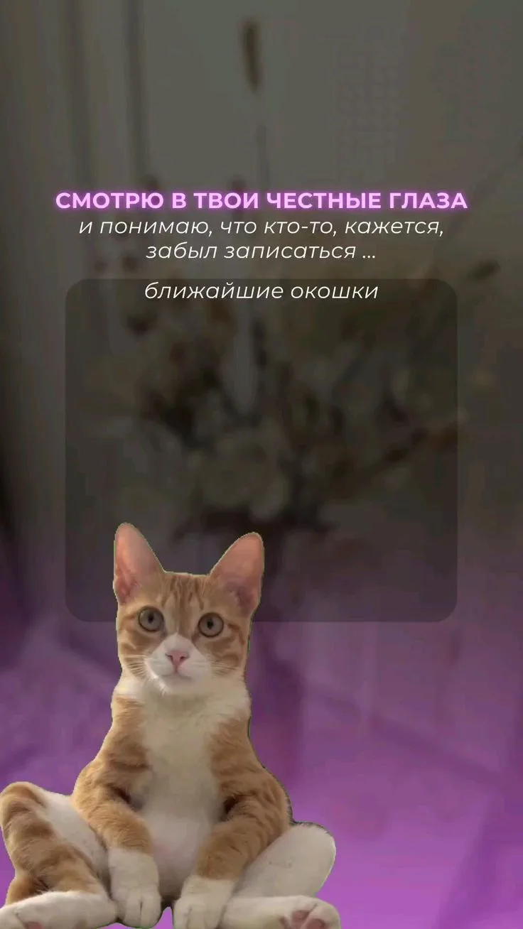 ДОБРОЕ 6 ИЮНЯ!💜