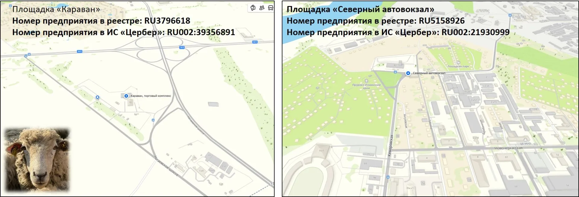 С 27 по 30 мая 2026 года мусульмане отмечают священный праздник Курбан-байрам. Курбан-б...