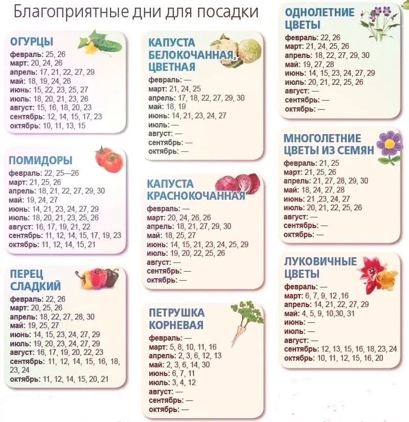 Сәсеү, ултыртыу өсөн уңышлы көндәр.
