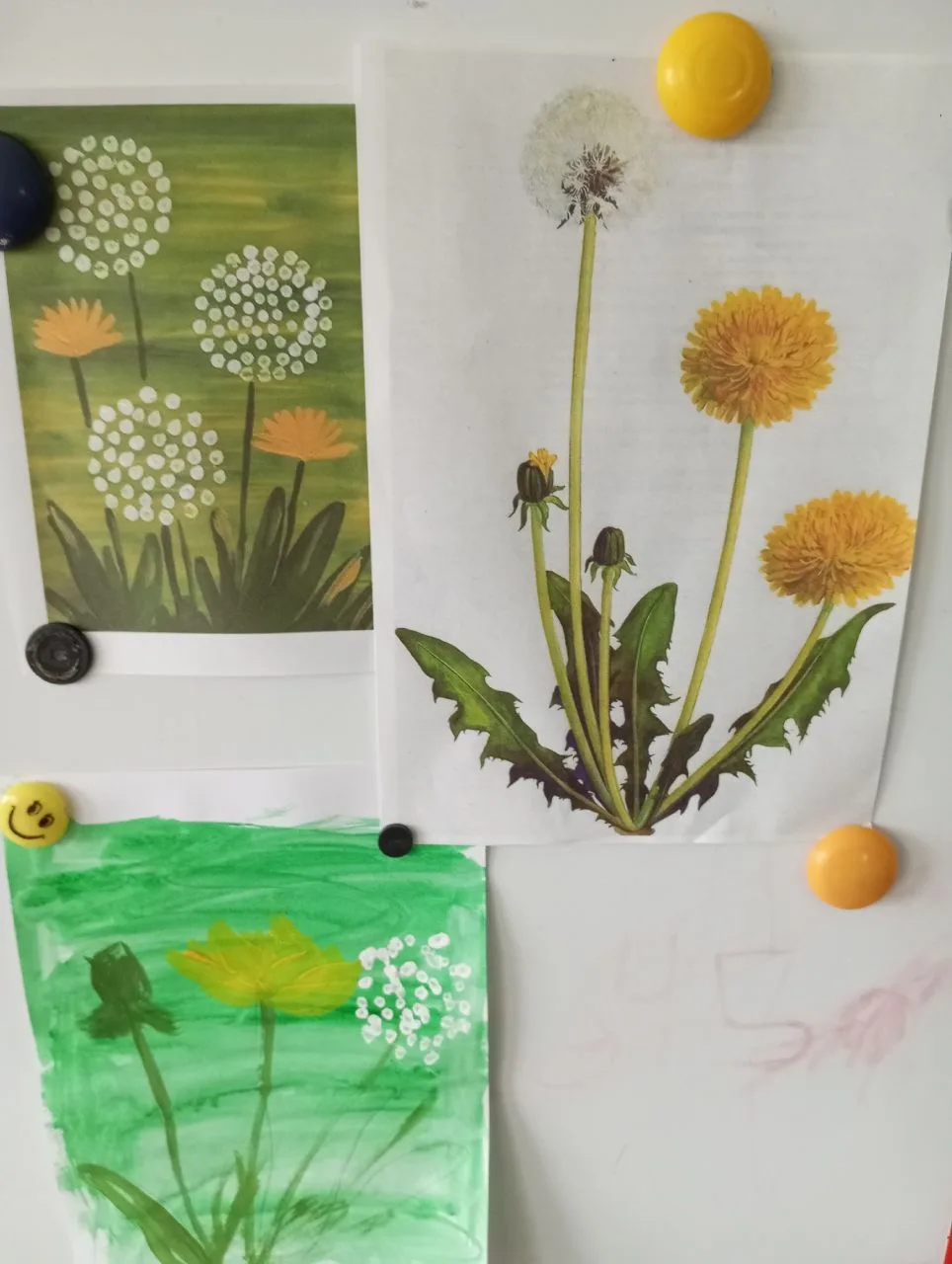 13 мая  необычный праздник — День одуванчика. 🌼В этот день ребята группы «Пчёлки» и «К...