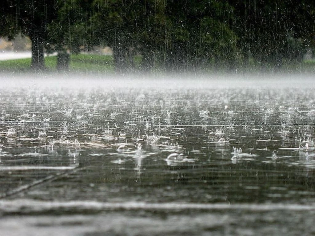 🌧 Неделя в Коми будет дождливой