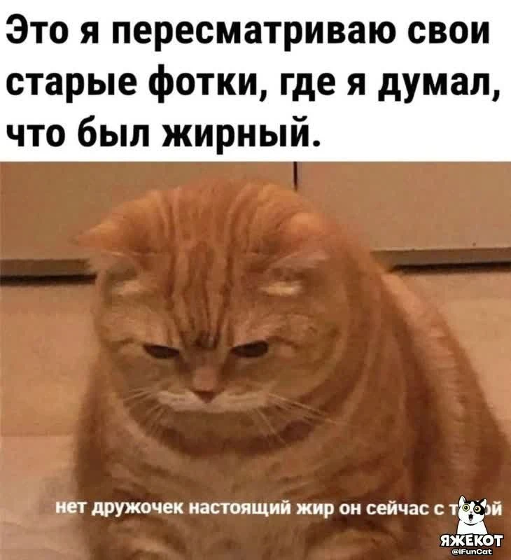 🐾 ЯЖЕКОТ