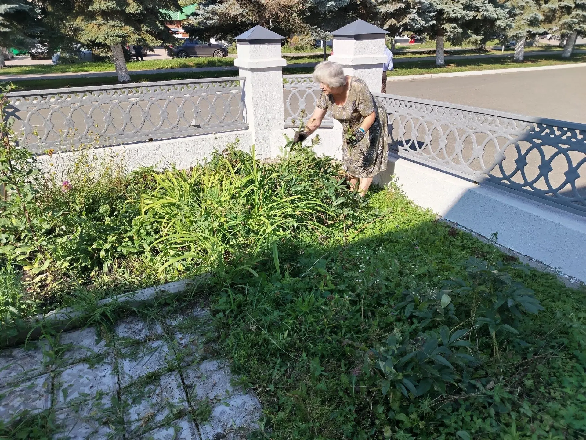 Перед началом учебного года преподаватели Иглинской ДХШ сделали прополку в цветнике пер...