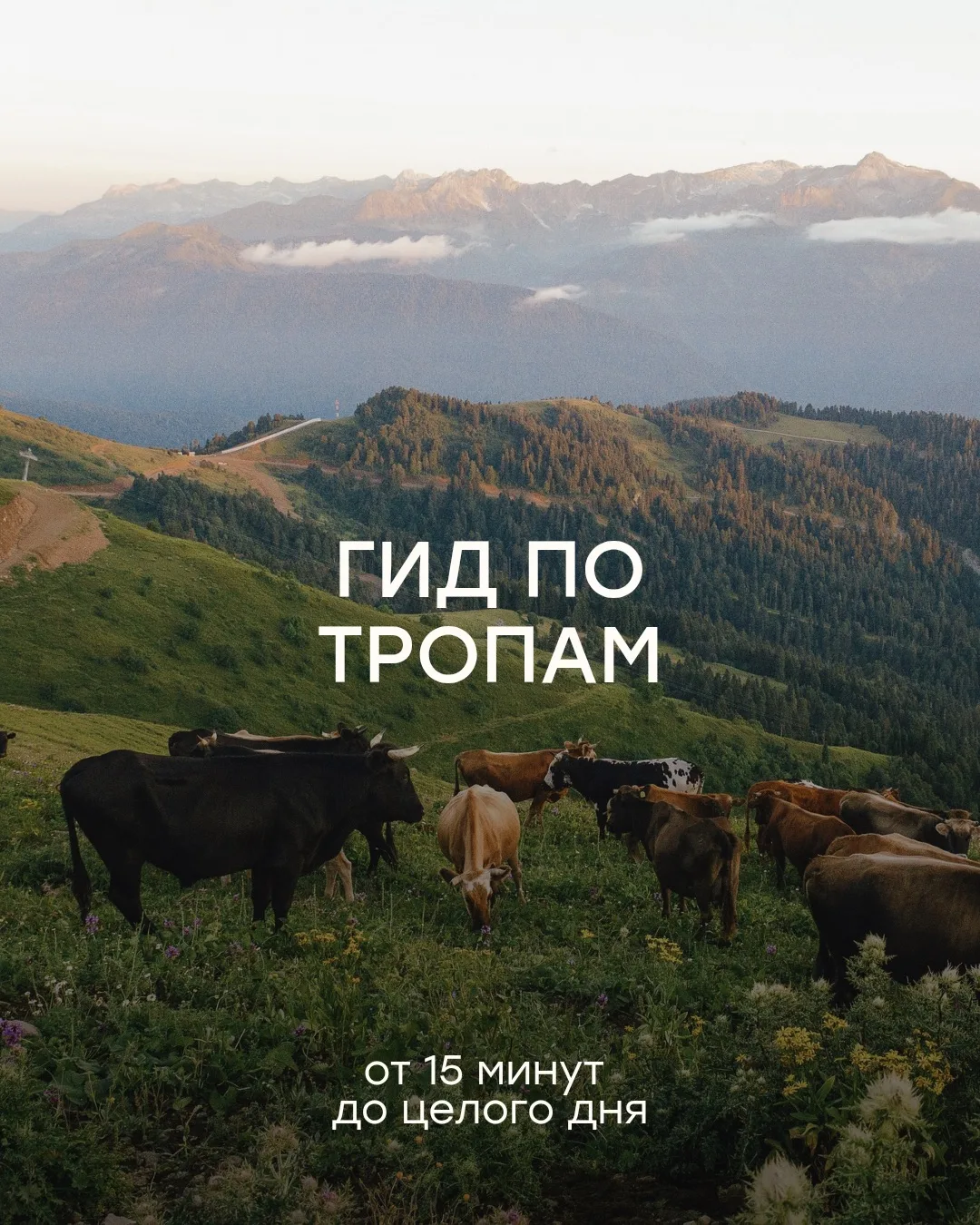Не знаете, с какой тропы начать? 🏔

Собрали в посте маршруты для любого уровня: от прогулки на 15 м
