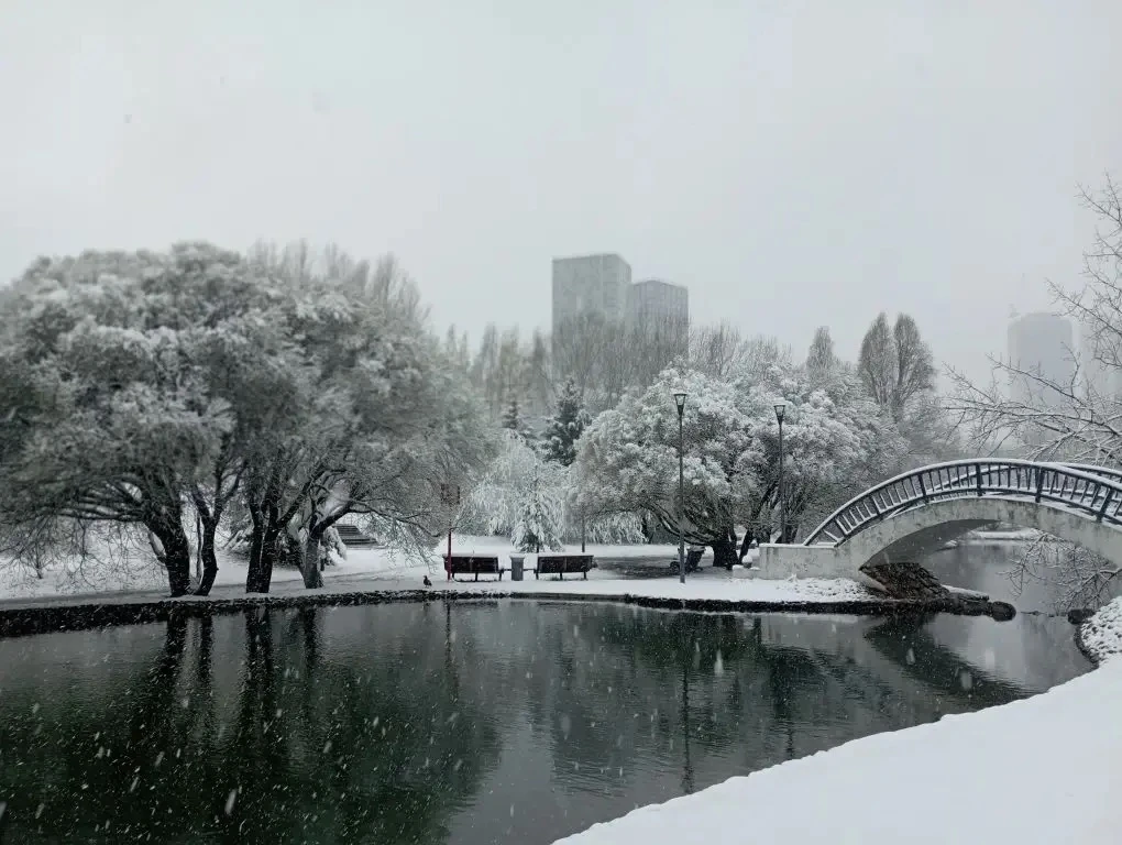 ❄️ Соседи делятся заснеженными фотографиями ЮЗАО