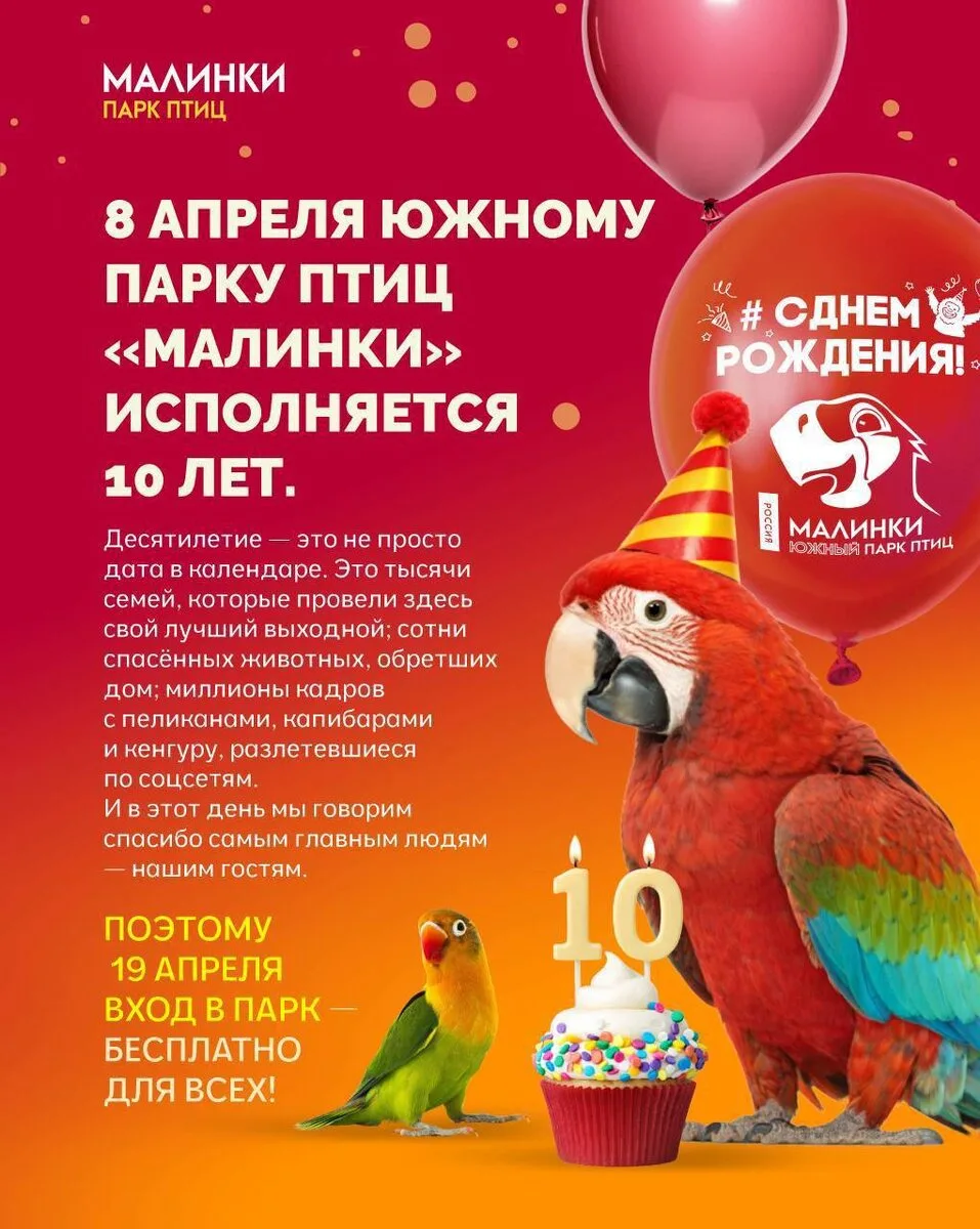 🎉 МАЛИНКАМ — 1️⃣0️⃣ ЛЕТ