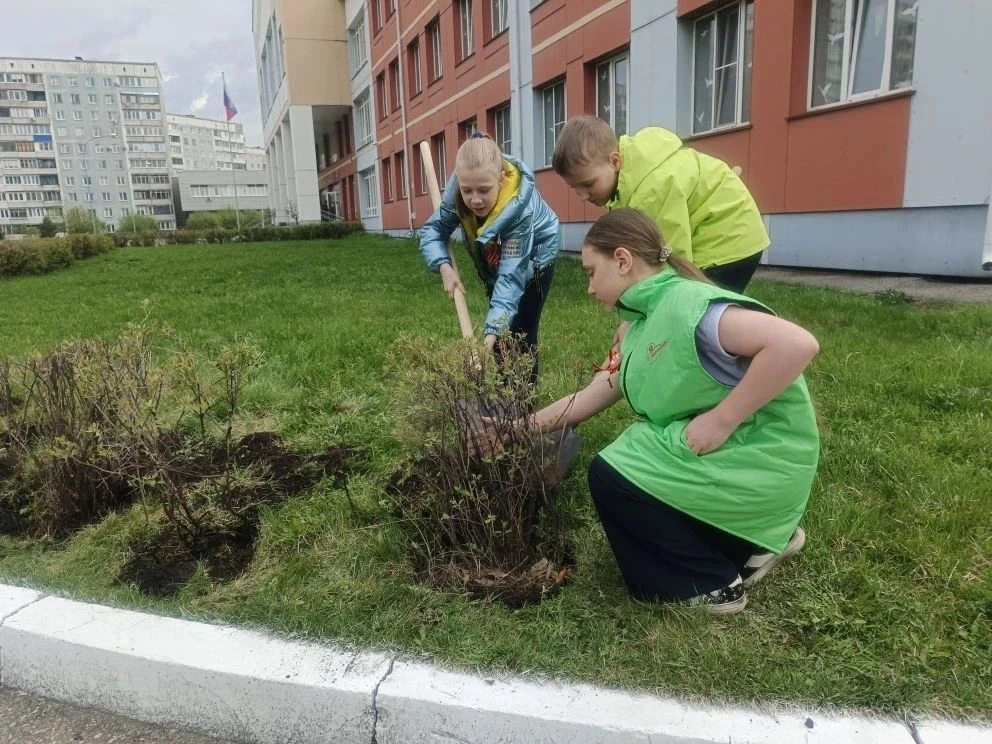 🌿 «Сад Памяти» в школе №110: живые ростки благодарности 🌳Ученики 5-х классов присоединились к всерос