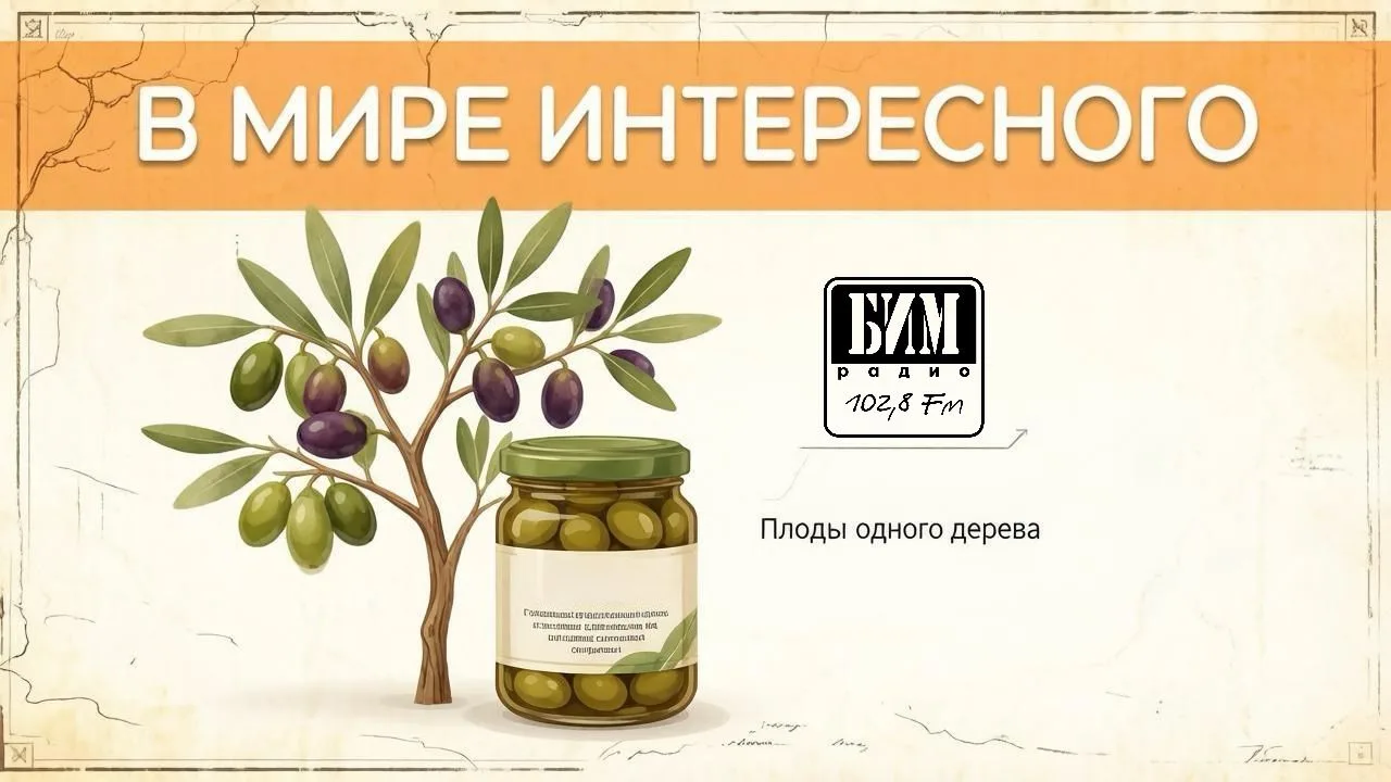 В МИРЕ ИНТЕРЕСНОГО 🫒