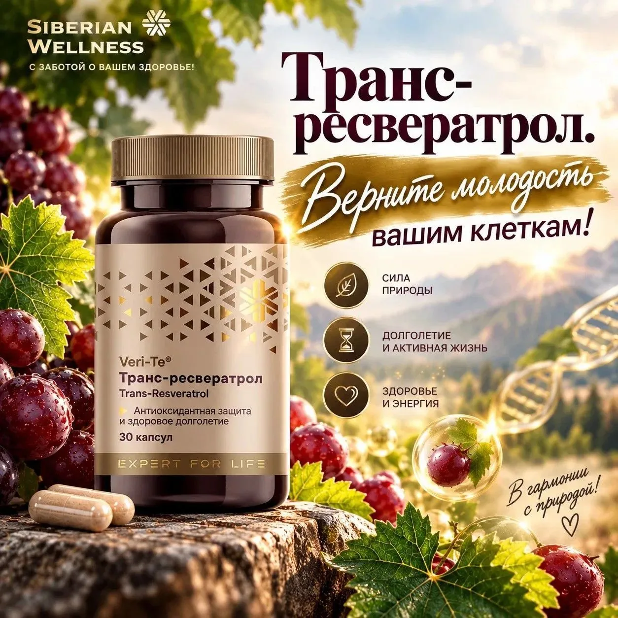 🍇 ТРАНС-РЕСВЕРАТРОЛ — НОВИНКА ДЛЯ ТЕХ, КТО ДУМАЕТ НЕ ТОЛЬКО О САМОЧУВСТВИИ СЕГОДНЯ, НО...