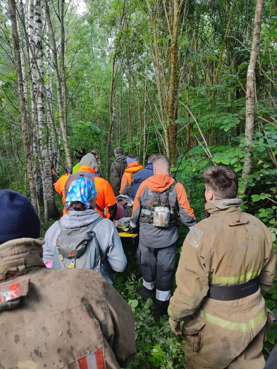 В Одинцово пожилой грибник потерялся в лесу

Под Одинцово пожилой мужчина отправился в лес за грибам