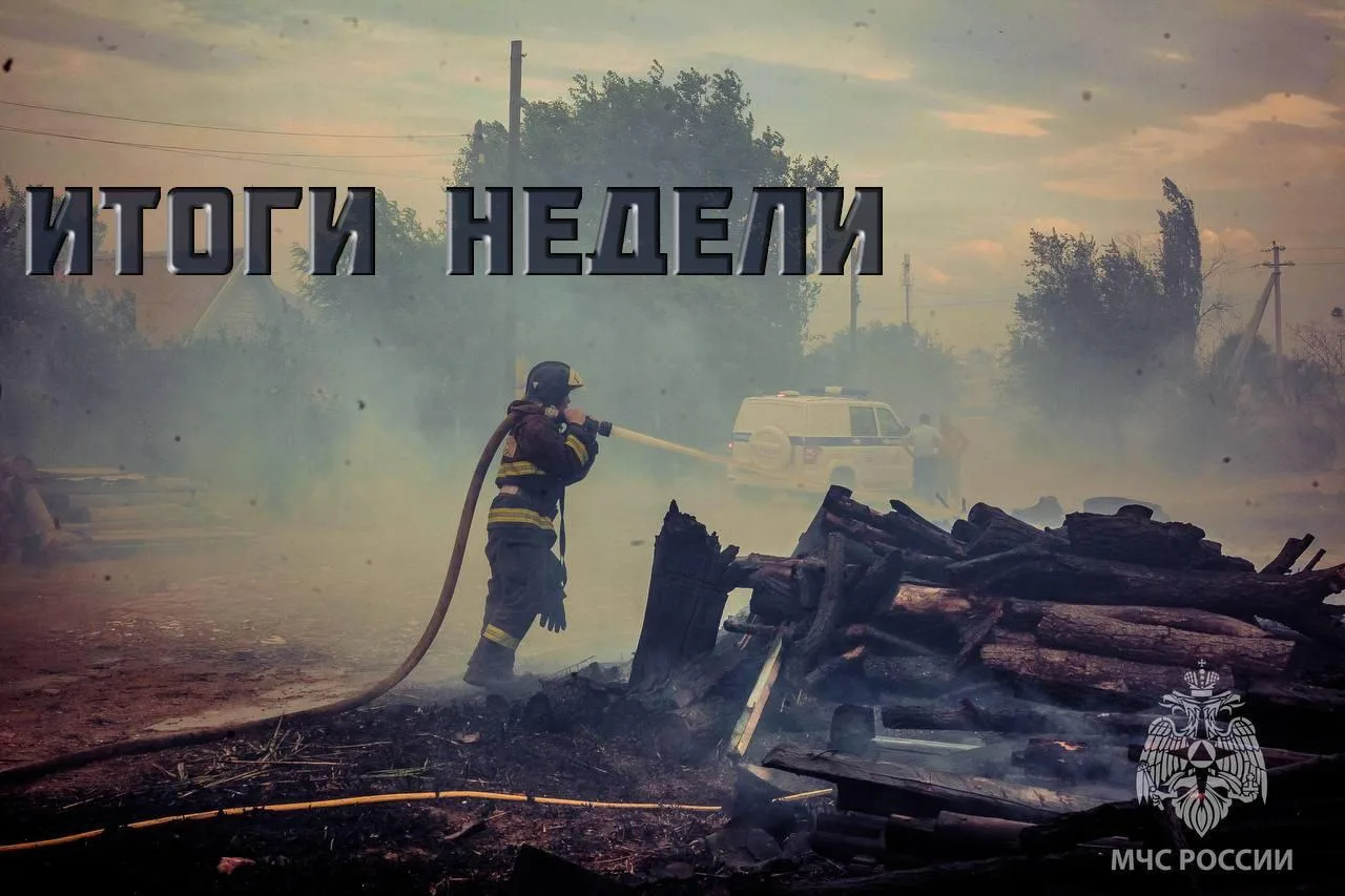 Итоги недели 20-26 июля

За минувшую неделю на территории области произошел 251 пожар🔥, 158 из кото