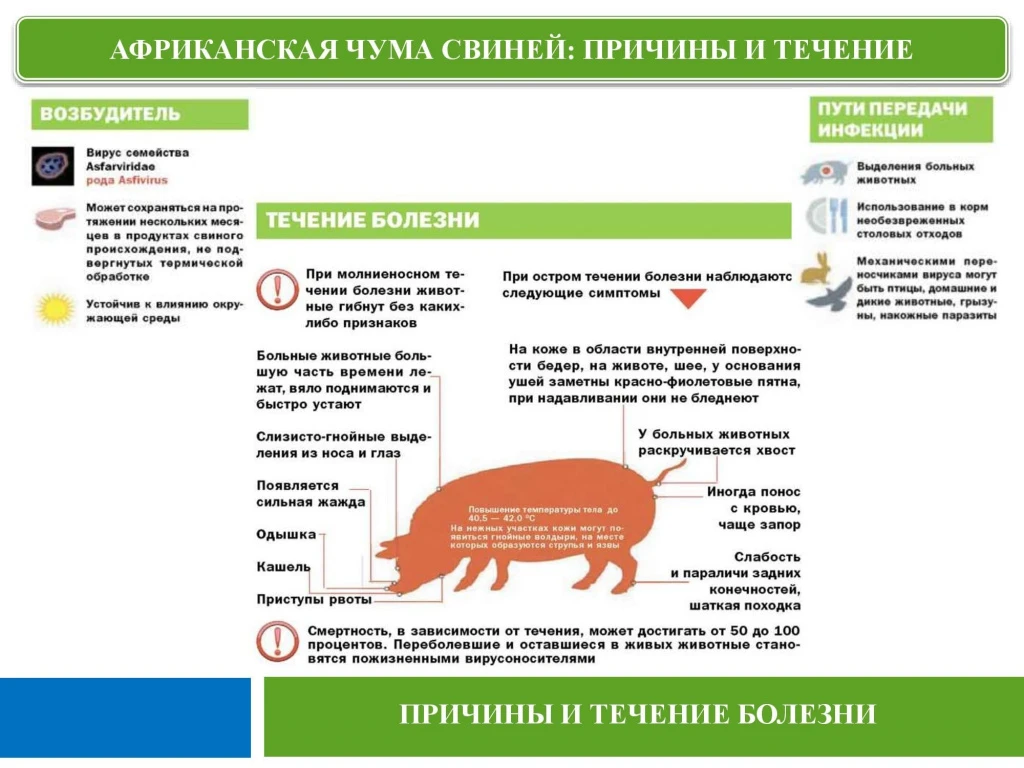 Государственное бюджетное учреждение Луганской Народной Республики «Станция по борьбе с...