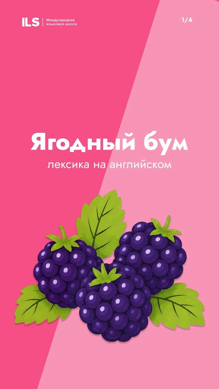 🍓 Ты клубника, я клубника…