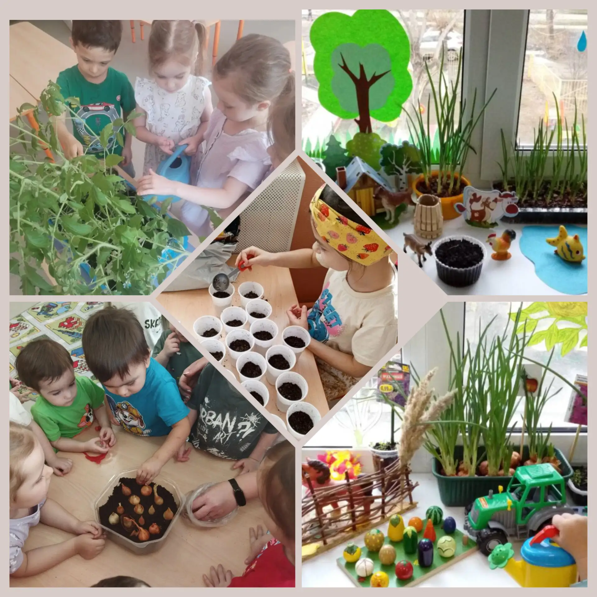 🌱 От подоконника до грядки: наши витамины растут на глазах!

Все мы знаем фразу: «На окошке огород 