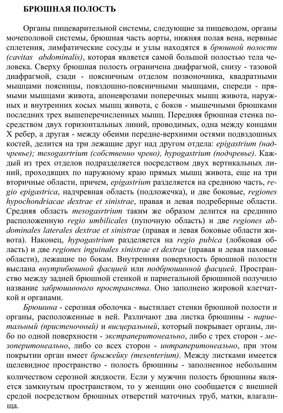 Брюшная полость