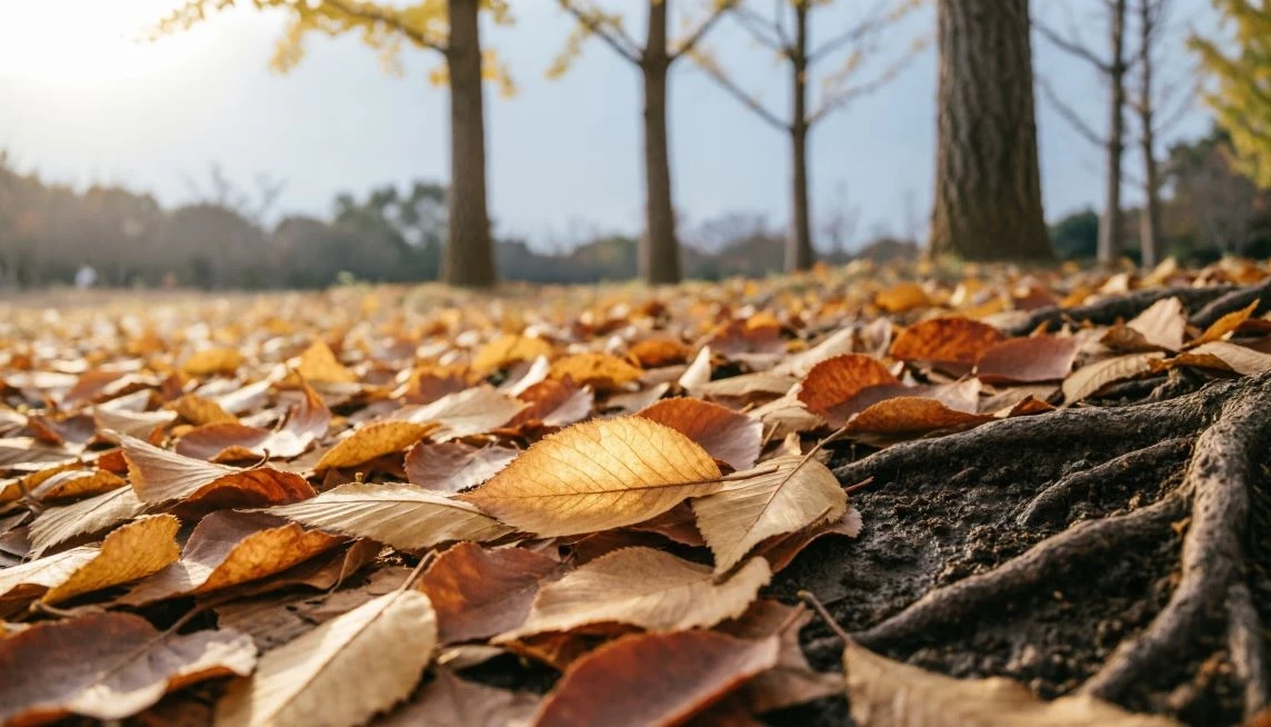 🍂 Листья на даче: не мусор, а ресурс!