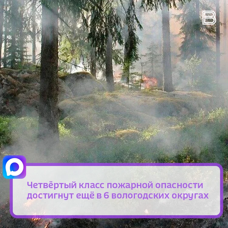 🔥 Высокий класс пожарной опасности установился в Никольском, Кичменгско-Городецком, Кирилловском, Во
