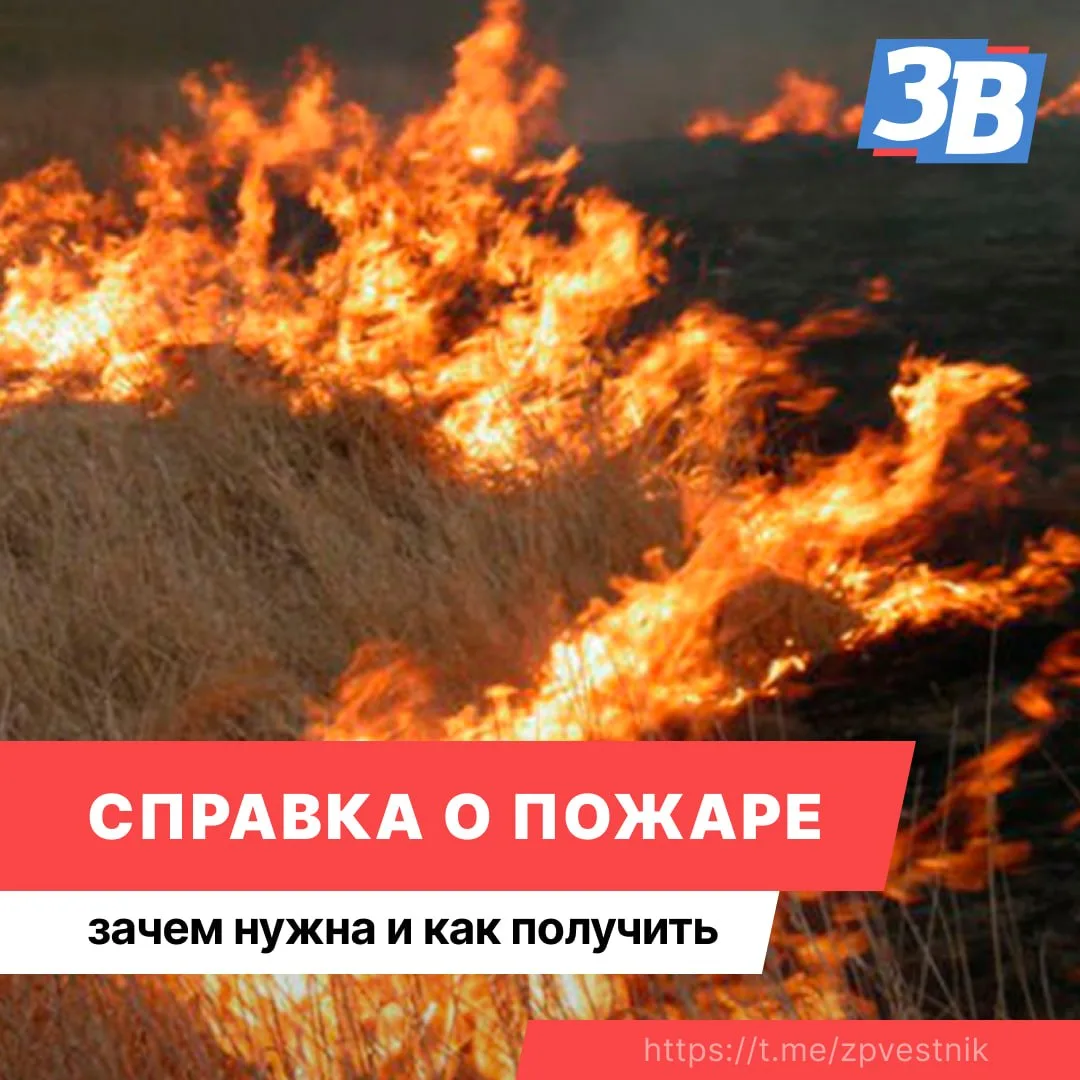 💪 Как получить справку о пожаре?

Справка о пожаре является единственным документом, подтверждающим