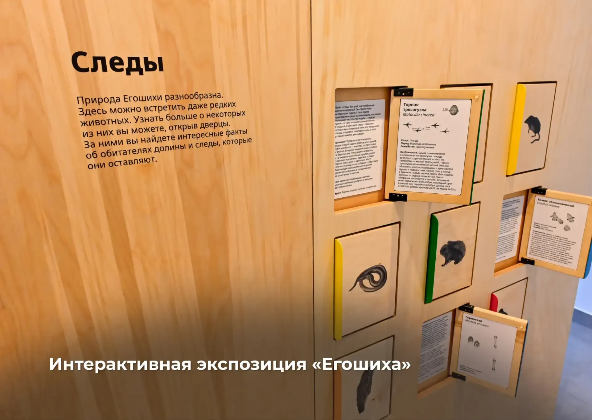Первый визит-центр в долинах малых рек открыт для жителей и гостей Перми  Сегодня открыли визит-цент