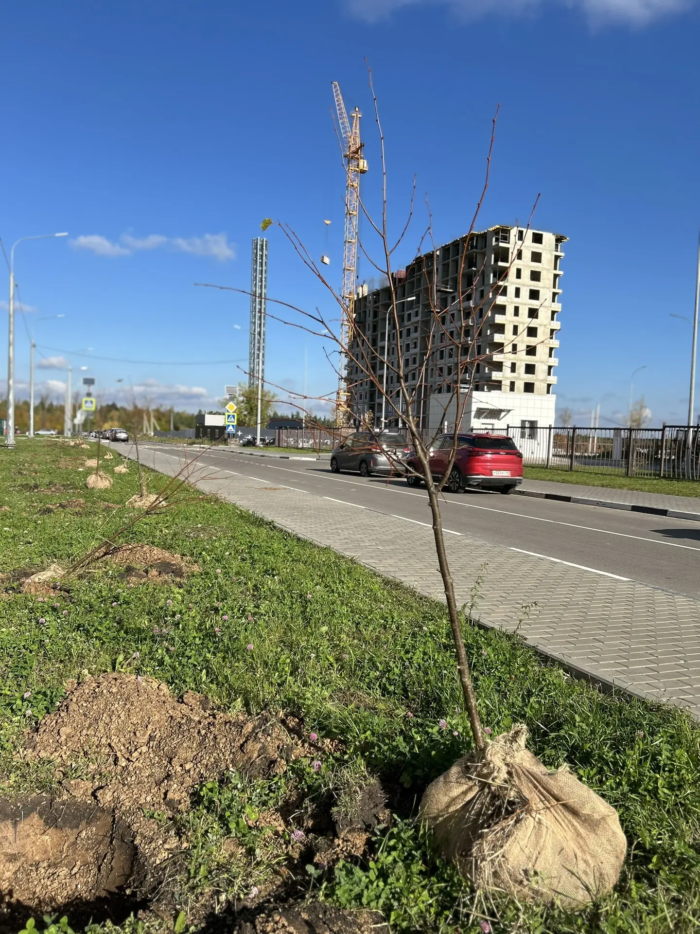 ✨🌳Сотрудники «Зеленхоза» вместе с региональным министерством экологии и бизнесом сегод...