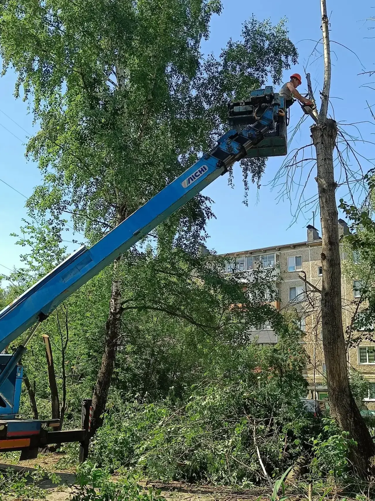 🌳 Управляющая компания «Головановская жилищная служба» провела работы по спилу аварийн...