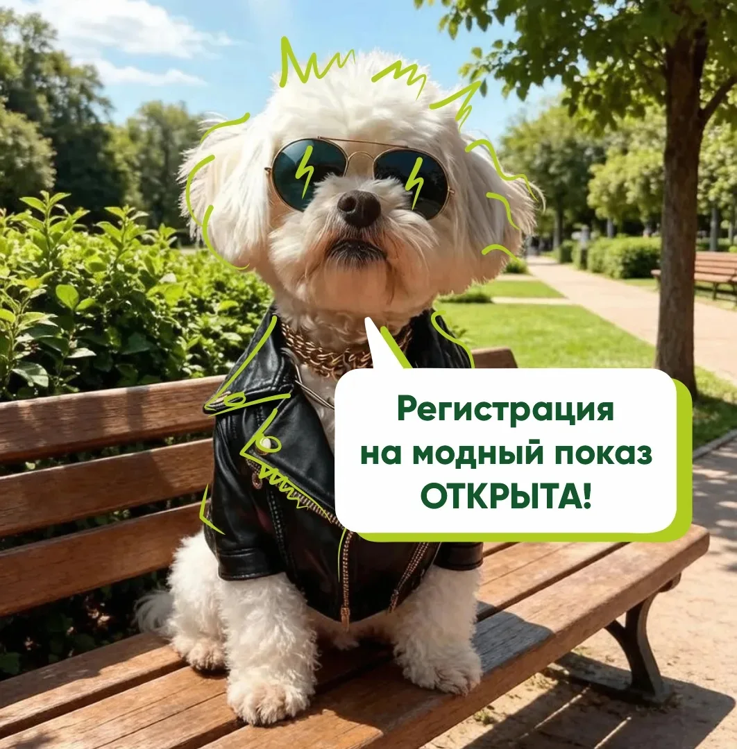 Тула готовится к самому милому событию лета!