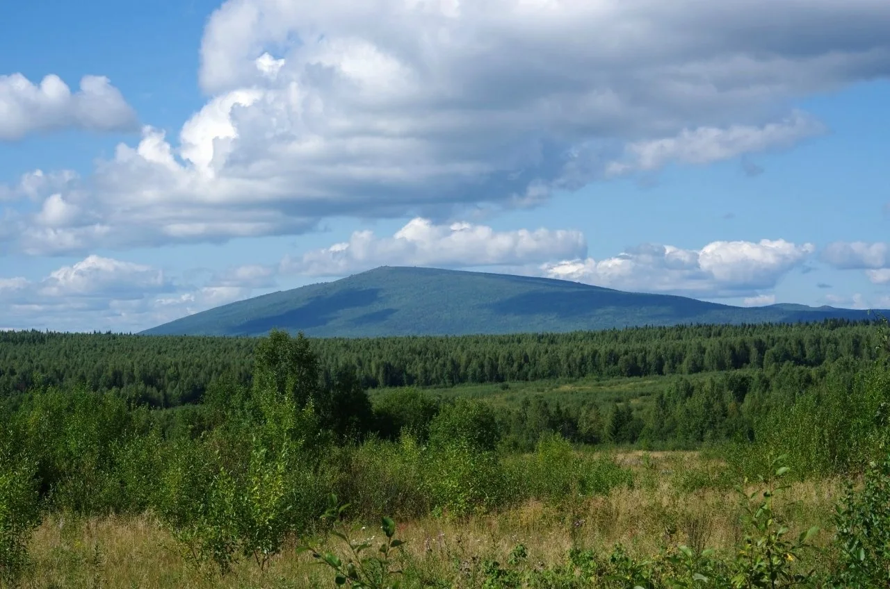 Присылайте Ваши фото в "Предложить пост"