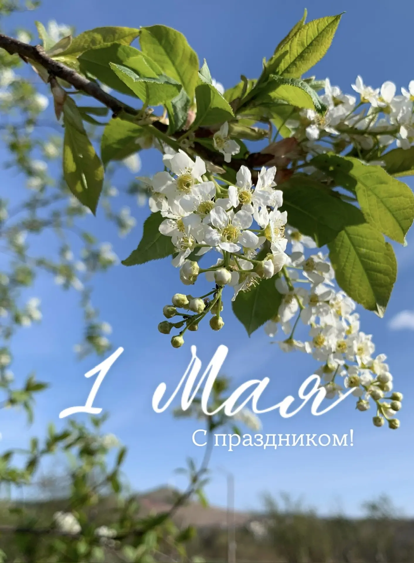 🕊️Майские праздники — время замедлиться и очиститься.