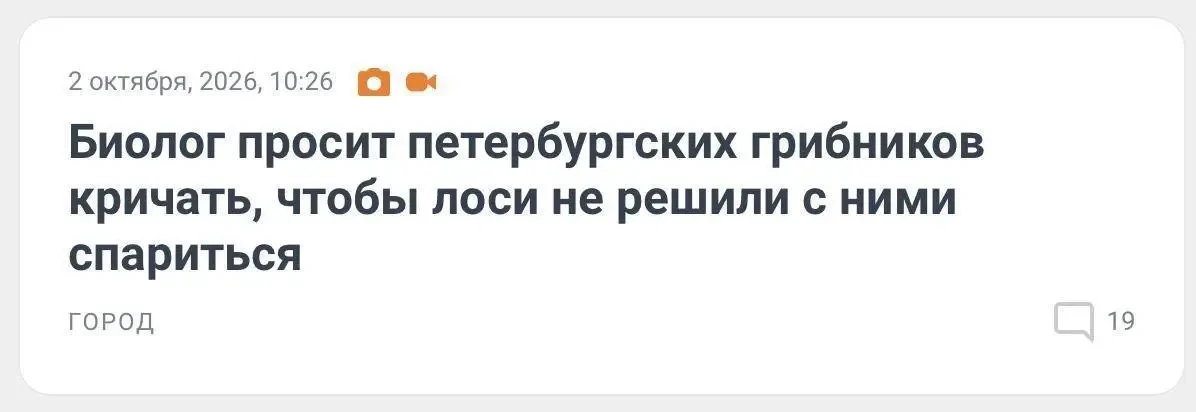 😳 Лось может принять грибника за невесту