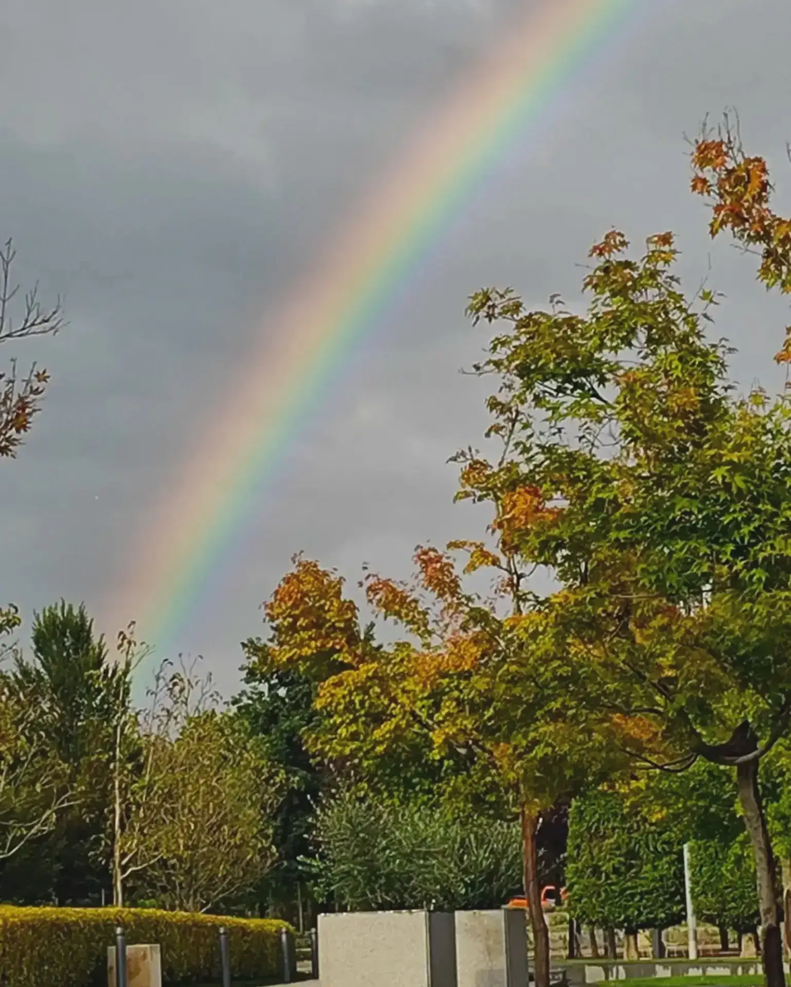 🌈 Любимое дождливое развлечение парка Галицкого