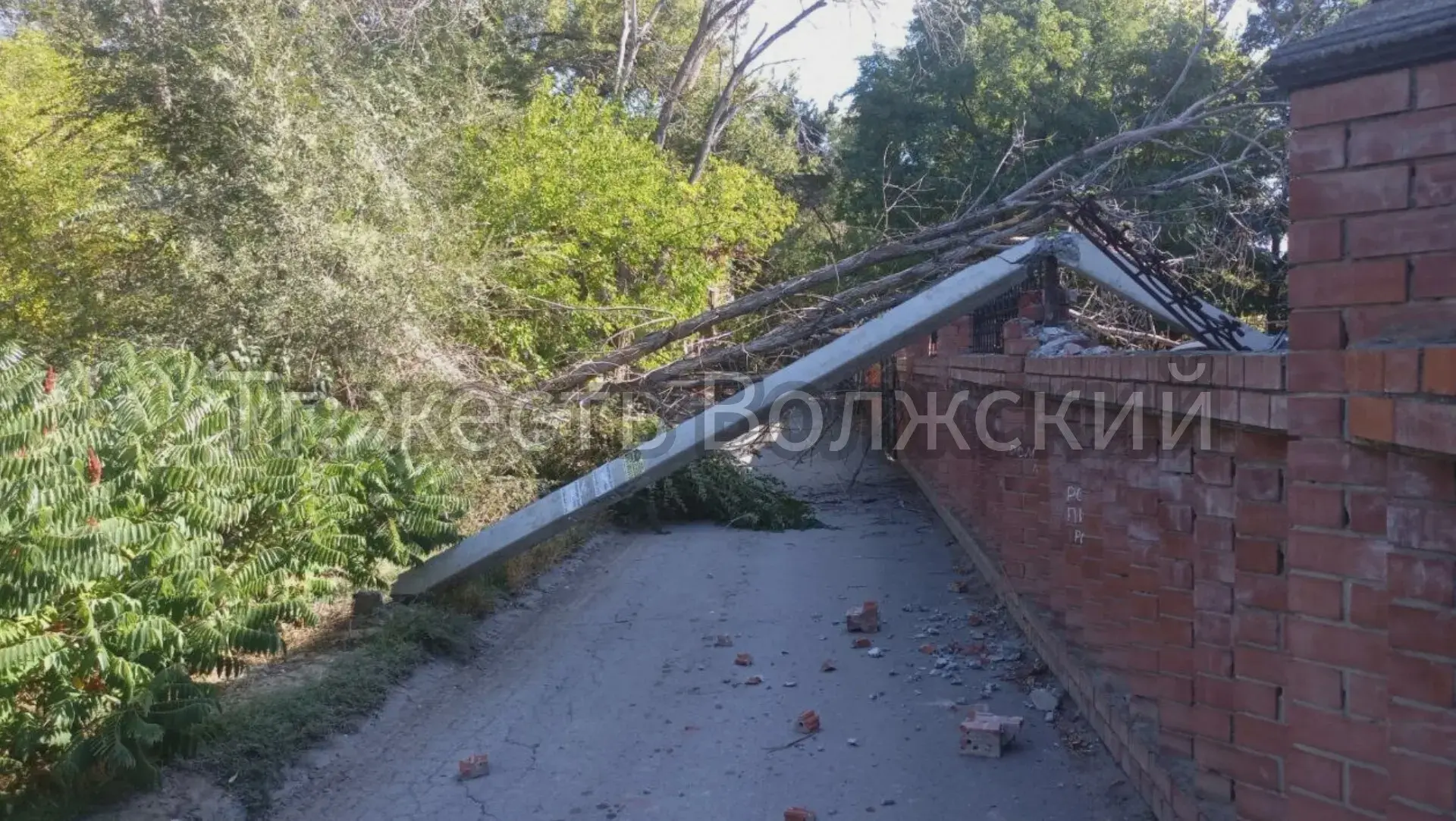 🚨 Дерево перегородило дорогу на улице 19 Партсъезда