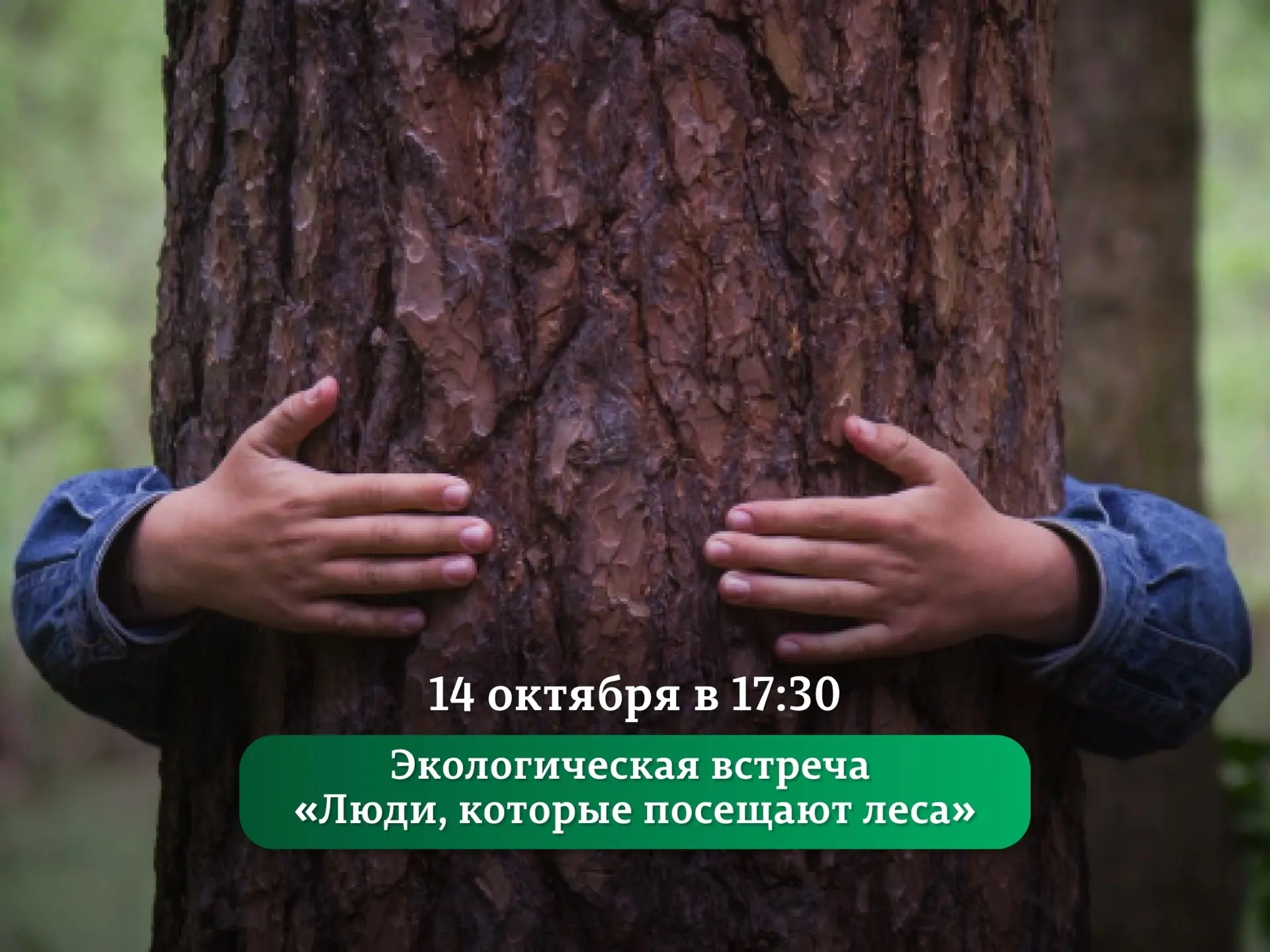 📸 Завершение фотосезона в Черняевском лесу