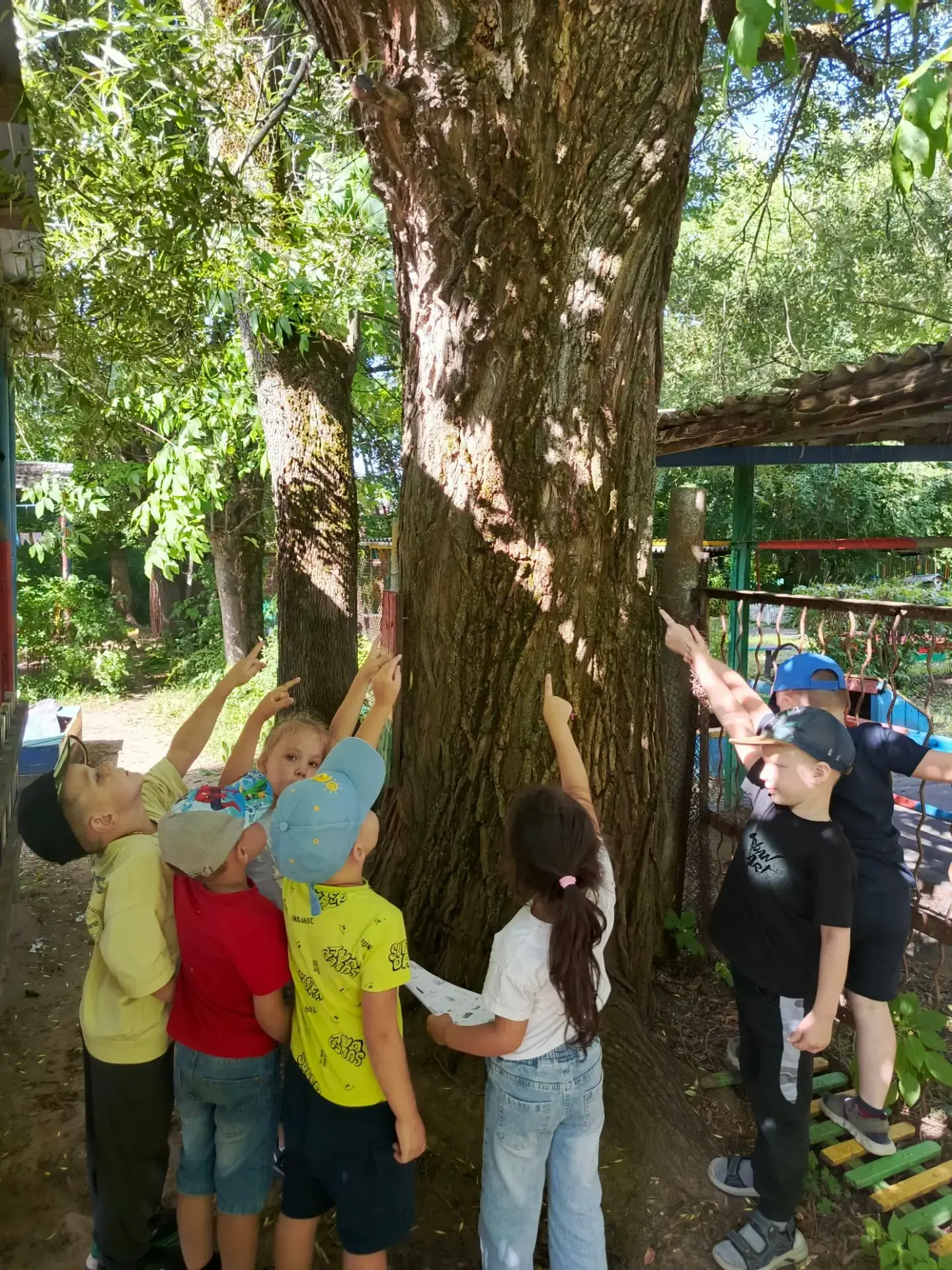 😃Квест-игра «Бродилка по лесу»🌲🐞🌳