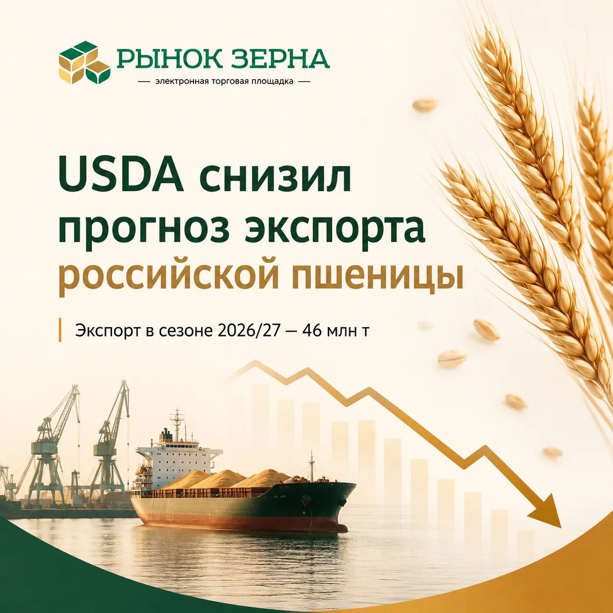 🌾 USDA снизил прогноз экспорта российской пшеницы