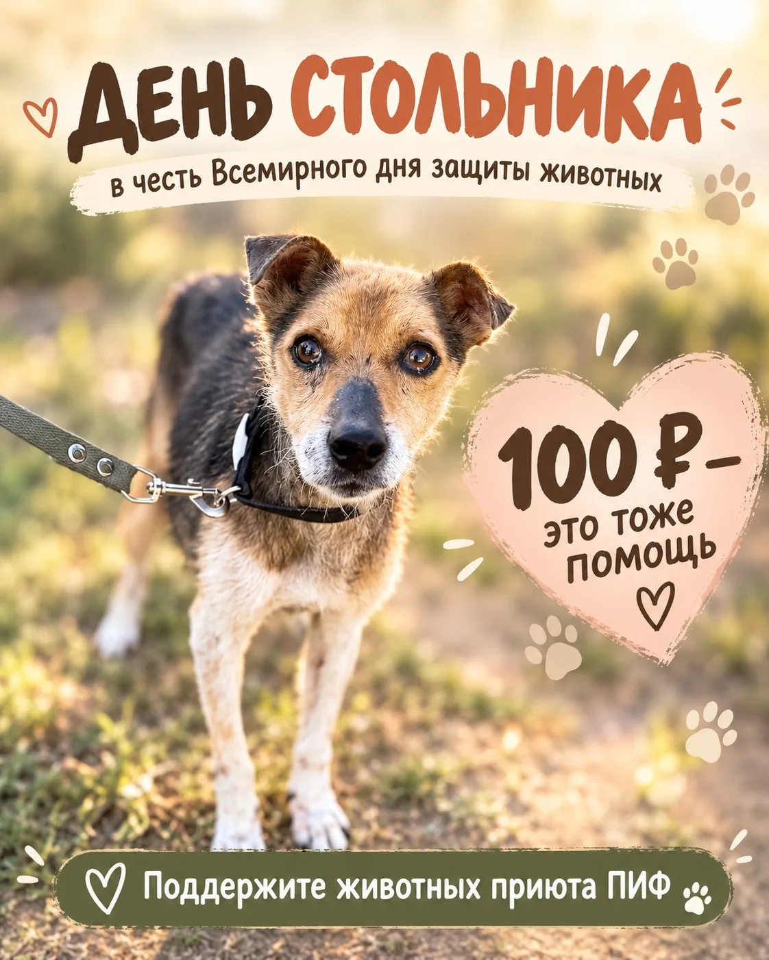🔥До конца дня защиты животных осталось три часа.