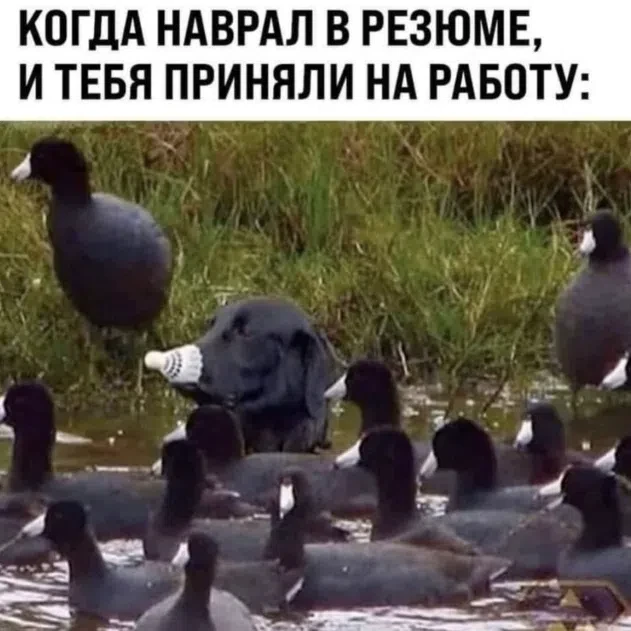 КуЗьМа в ТеМе
