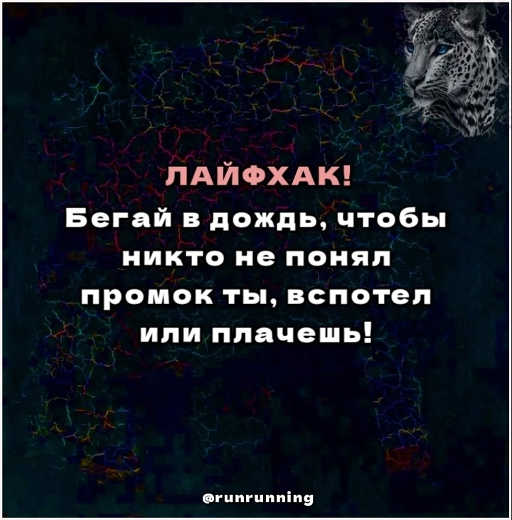 #runrunningЦИТАТА