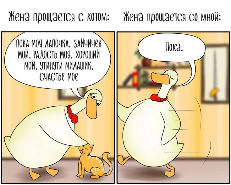 Подпишись, чтобы не потерять👇