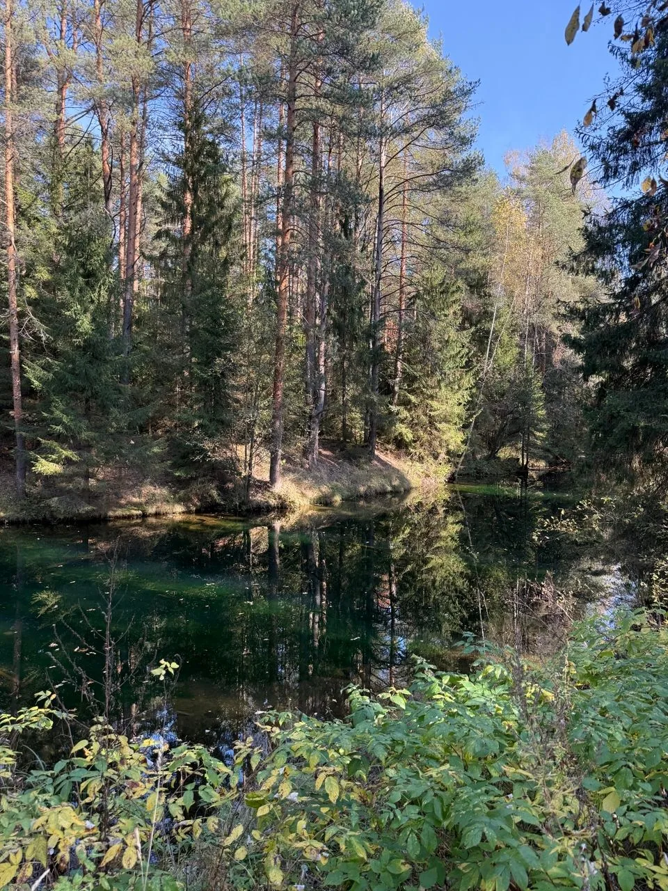 Какая ж осень, друзья! Какая осень!!!  🍂