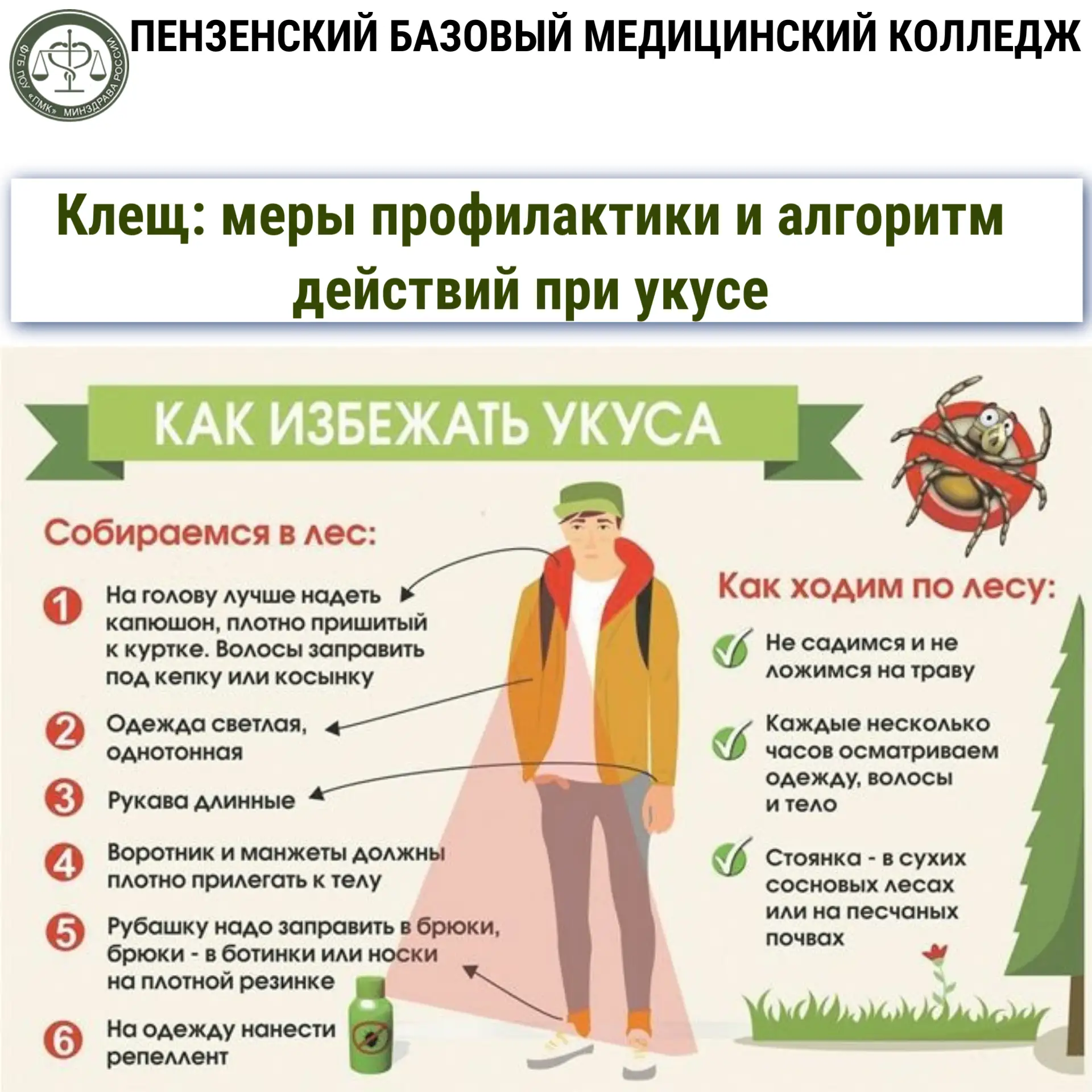 С наступлением тёплых дней жители и гости Пензенской области всё чаще сталкиваются с клещами. По дан