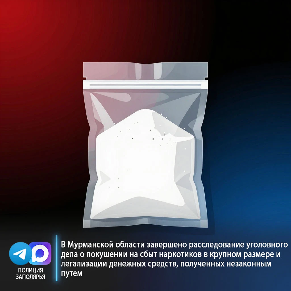 ⚖️ В Мурманской области завершено расследование уголовного дела о покушении на сбыт нар...