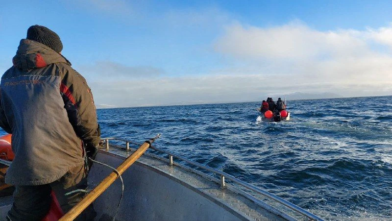 Морзверобои Чукотки добыли более двух тысяч морских млекопитающих