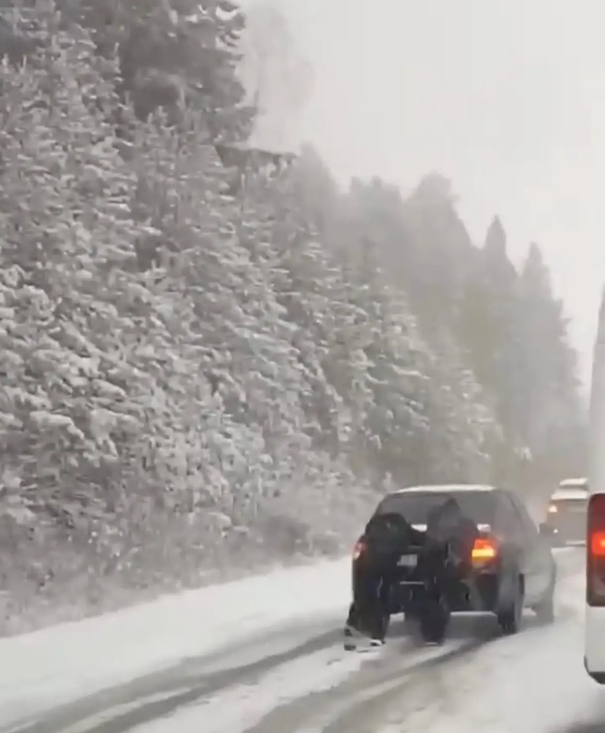 В Башкирию пришла настоящая зима! 🌨️❄️