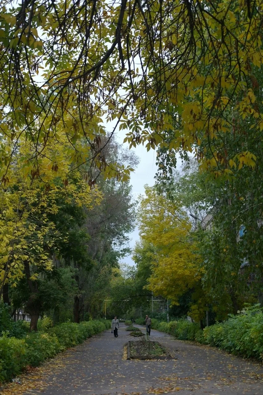 Присылайте Ваши фото в "Предложить пост"