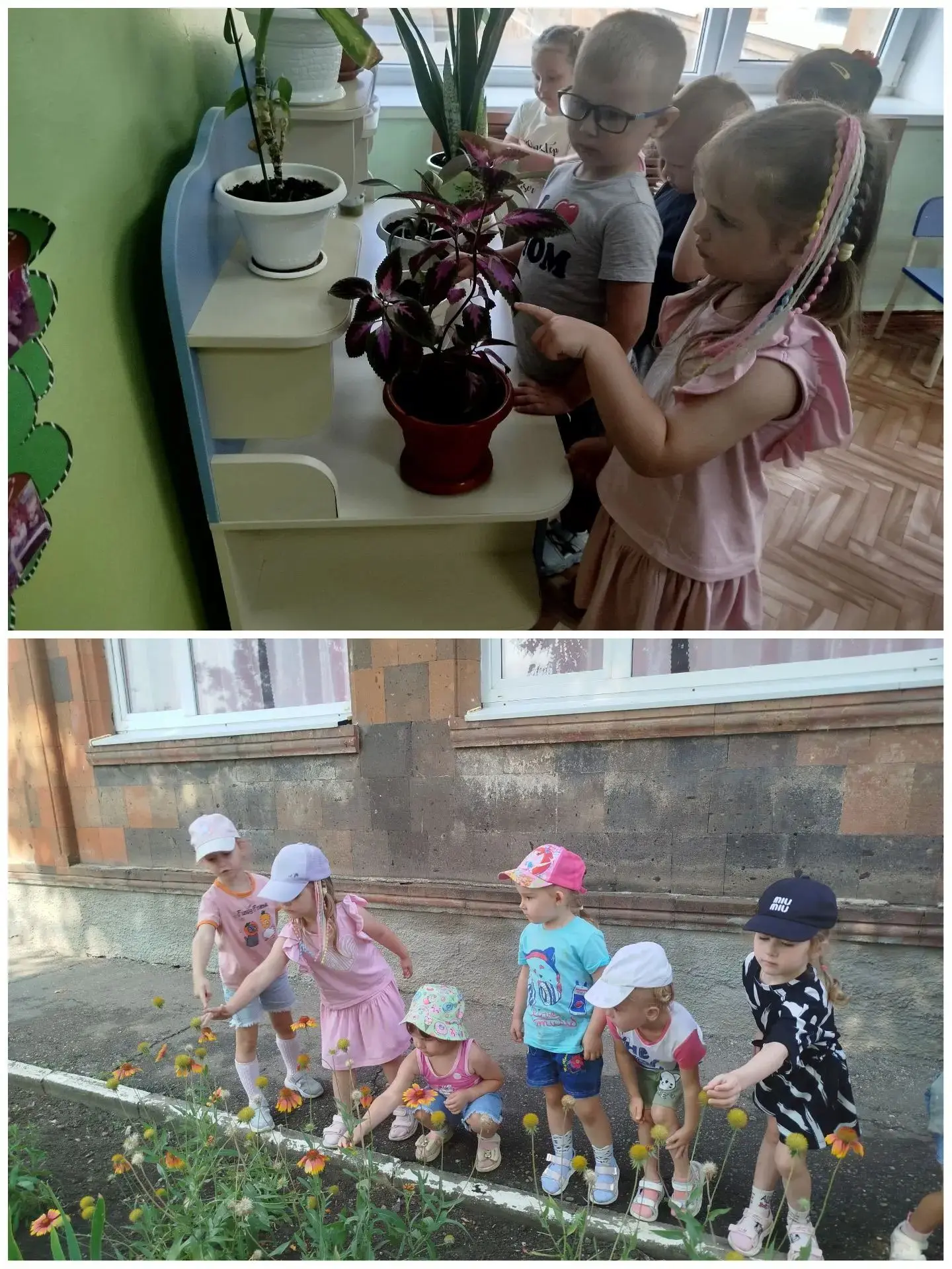 В средней группе прошел День Цветов💐🌺🌹Ребята рассмотрели растения и узнали, что они бывают разным