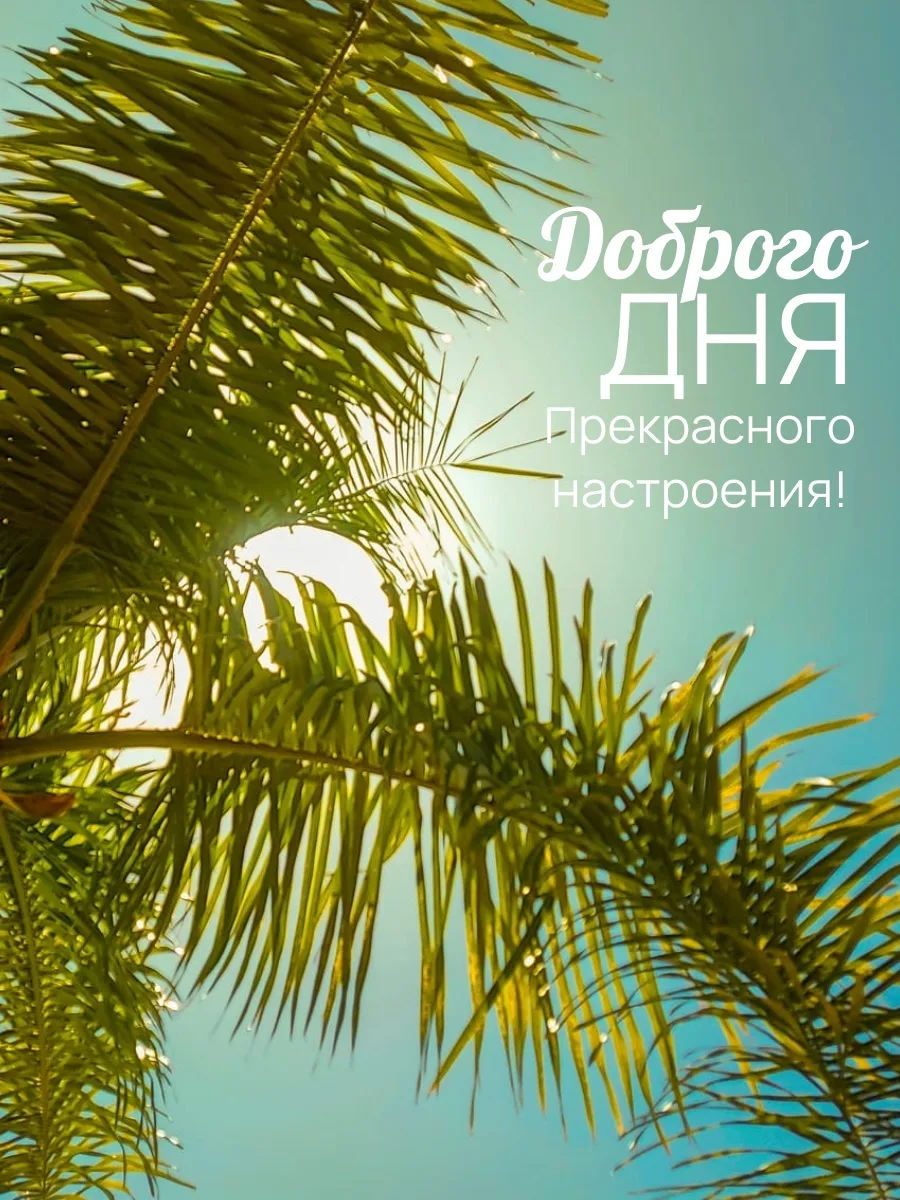 #день

🌺ОТКРЫТКИ НА ЛЮБОЙ СЛУЧАЙ