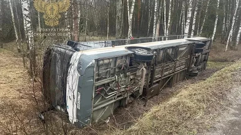 Рейсовый автобус улетел в кювет .  Авария случилась возле села Стромынь в Богородском округе. На мом