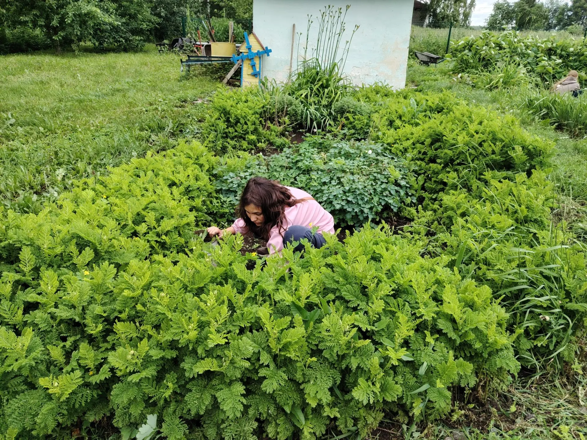 В СОШ с. Енгалышево прошли традиционные отработки на участке. 🌿

Вместе с учителями школьники полол