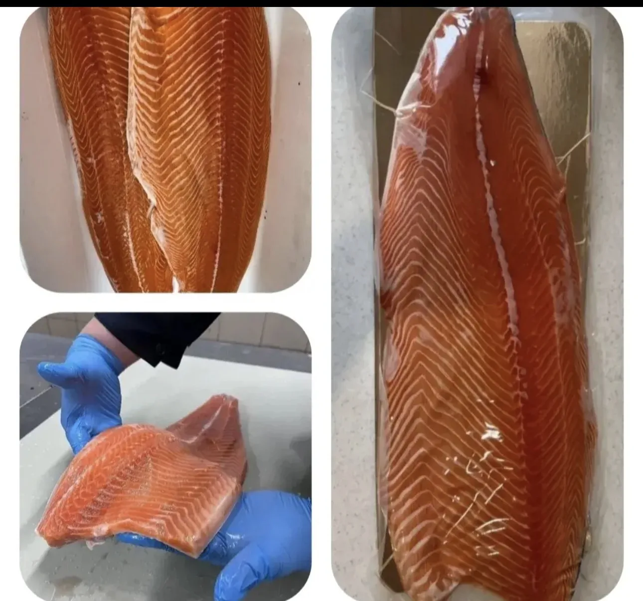 Свежий пласт лосося премиального качества 🐟 ( Разделка Трим D)- без костей!