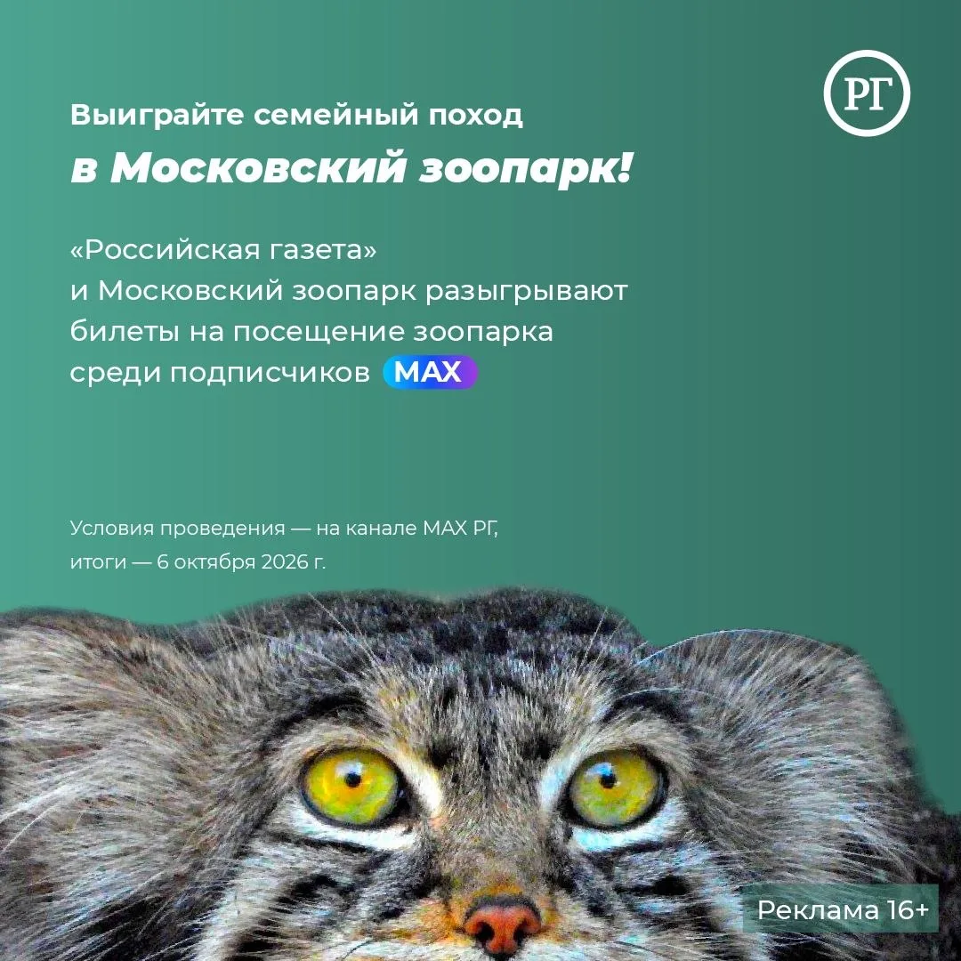 🎁 Напоминаем, что "Российская Газета" и "Московский Зоопарк" подарят трем подписчикам ...